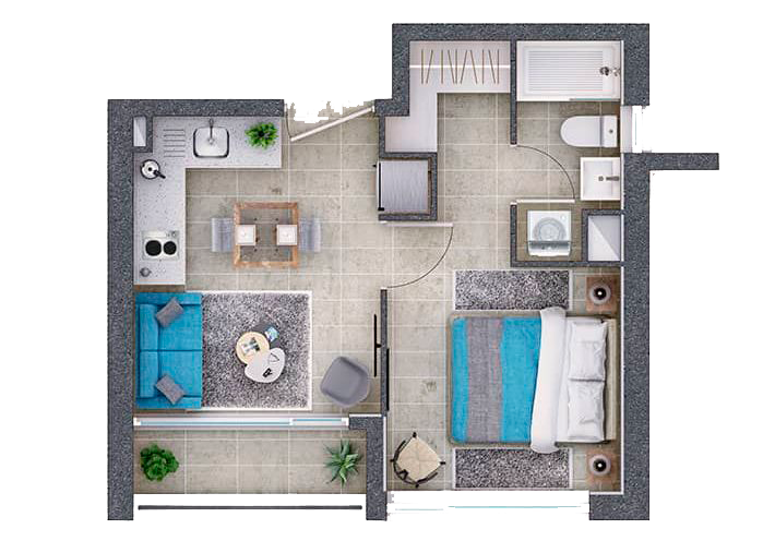 Planta-5